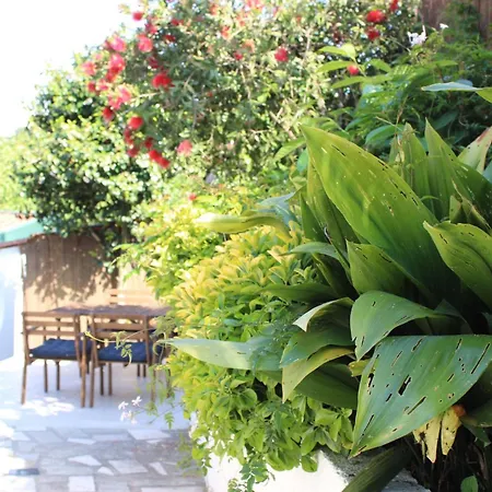 As Casinhas De Santo Ovidio *