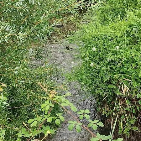 As Casinhas De Santo Ovidio Casa vacanze *