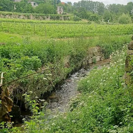 Tatil Evi As Casinhas De Santo Ovidio