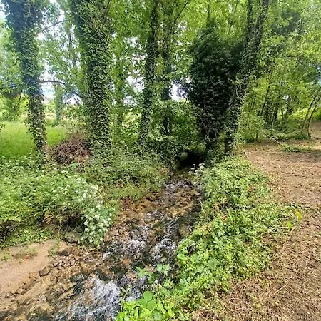 Tatil Evi As Casinhas De Santo Ovidio *