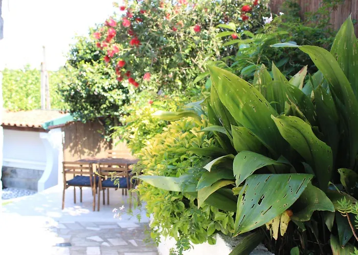 As Casinhas De Santo Ovidio *