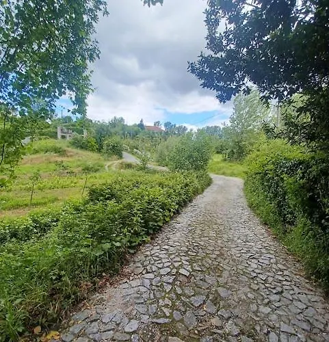 As Casinhas De Santo Ovidio *