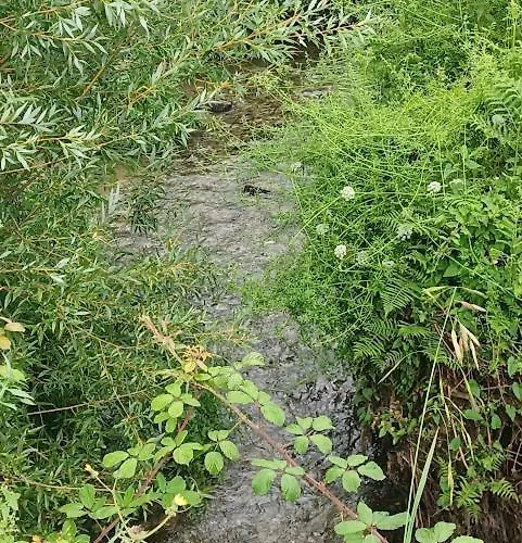 As Casinhas De Santo Ovidio Feriehus *