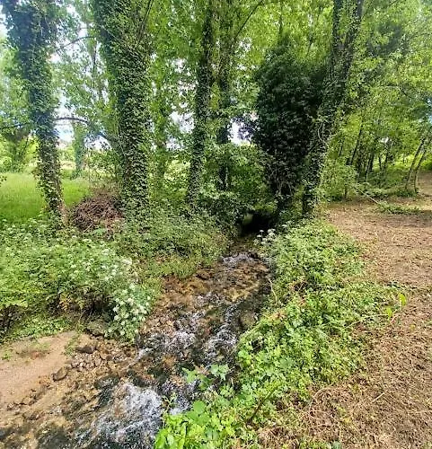 Feriehus As Casinhas De Santo Ovidio *